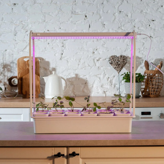 Набор для выращивания растений «Минисад»