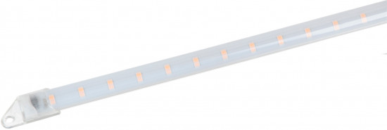 Набор для выращивания растений «Минисад»