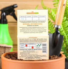 Семена моркови «Витаминная-6» - Фото 3