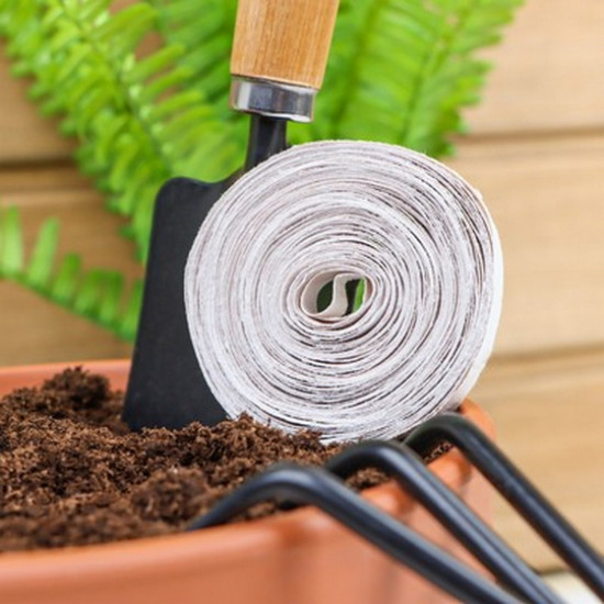 Семена моркови «Детская сладость»