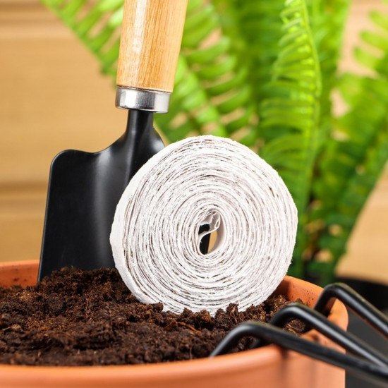 Семена моркови «Красный великан Роте Ризен»