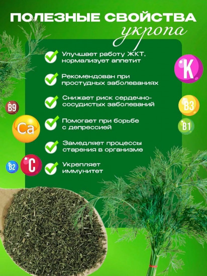Зелень укропа сушеная
