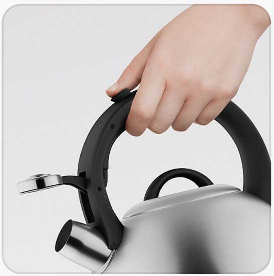 Чайник со свистком «Irma»