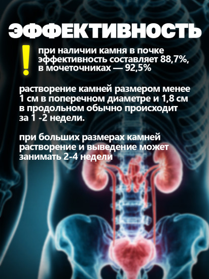 Фито-чай почечный «Шеншитонг»