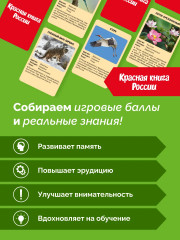 Игра настольная «Красная книга России» - Фото 1