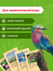 Игра настольная «Красная книга России» - Фото 4