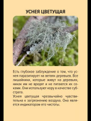 Игра настольная «Красная книга России» - Фото 6