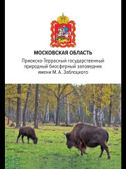 Игра настольная «Удивительные места России» - Фото 8