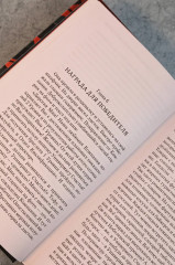 Умалишенный - Фото 12