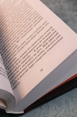 Умалишенный - Фото 13