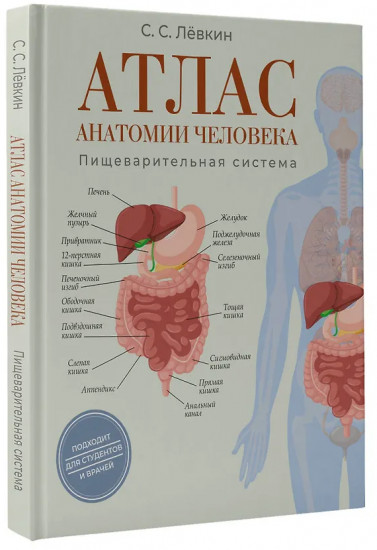 Атлас анатомии человека. Пищеварительная система
