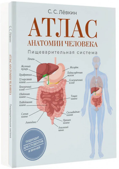 Атлас анатомии человека. Пищеварительная система