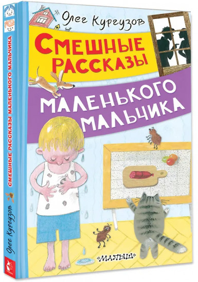 Смешные рассказы маленького мальчика
