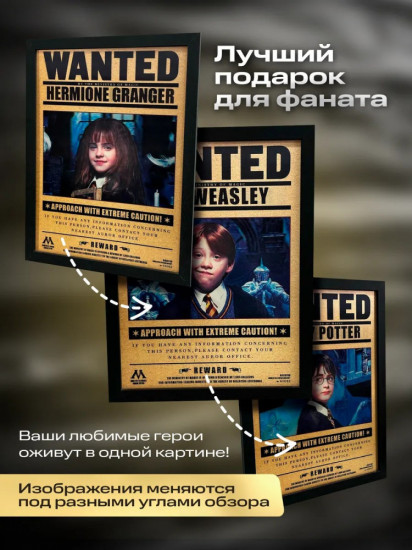 Картина голографическая 3D Гарри Поттер