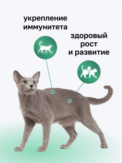 Набор корма влажного для кошек «Воздушный паштет с индейкой»