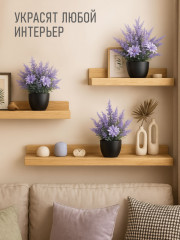 Набор цветов в кашпо - Фото 1