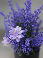 Набор цветов в кашпо - Фото 6