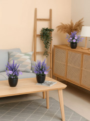 Набор цветов в кашпо - Фото 7