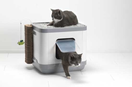 Комплекс 4 в 1 «Cat Concept»