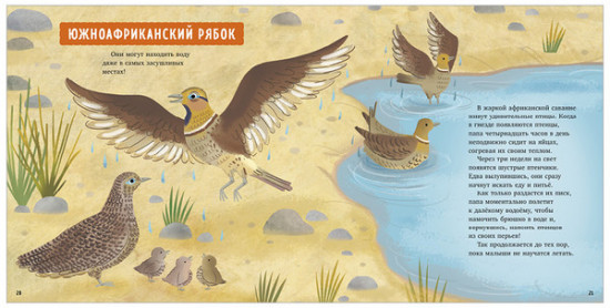 Удивительные животные. Мой папа — супергерой!