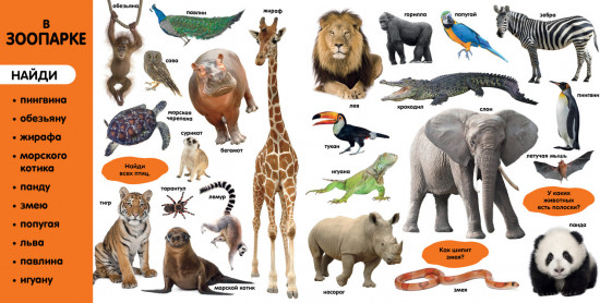 Фотокнига. Первые слова