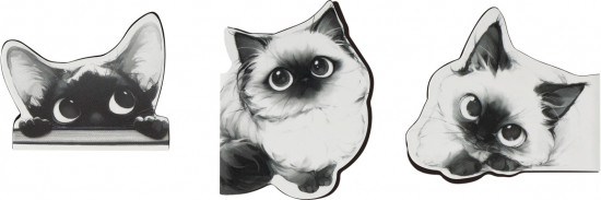 Набор закладок для книг магнитных «Cats»