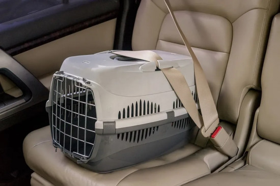 Переноска для животных «Спутник-2»