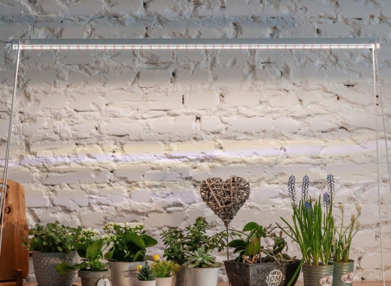 Светильник для растений