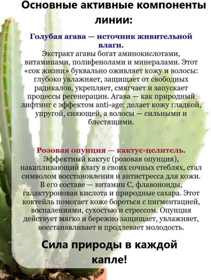 Бальзам-распутывание для сухих и нормальных волос «Голубая агава и розовая опунция»