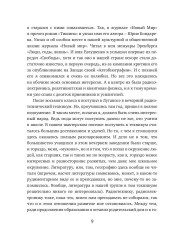 Хуна Соуту Америка - Фото 6