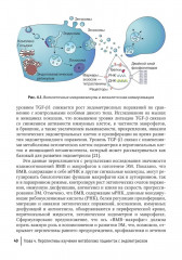 Глубокий инфильтративный эндометриоз. От патогенеза к лечению - Фото 6