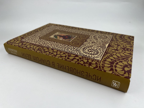 Исчезновение в Старом Дели