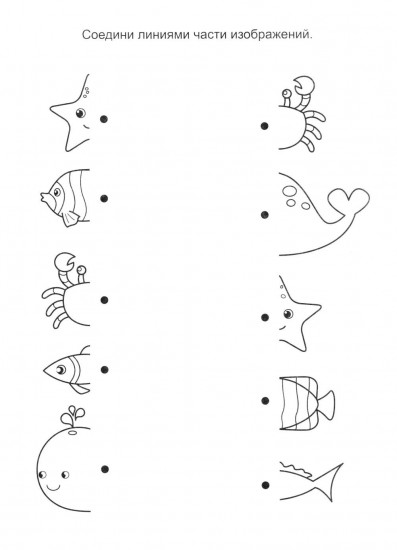 Подводный мир