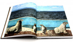 Родина. Комплект из 2 книг - Фото 12