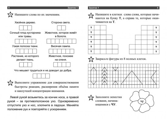 Умственный тренинг. Тетрадь на каждый день
