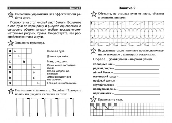 Умственный тренинг. Тетрадь на каждый день