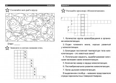 Умственный тренинг. Тетрадь на каждый день - Фото 5