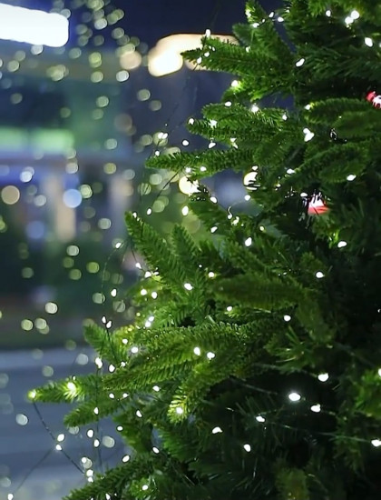 Гирлянда электрическая «Роса»