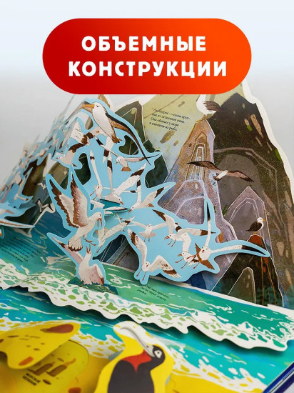 Подводный мир