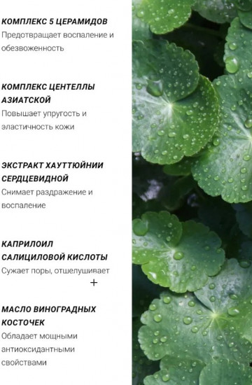 Очищающая энзимная пудра с чайным деревом «Micro Tea Powder Cleanser»