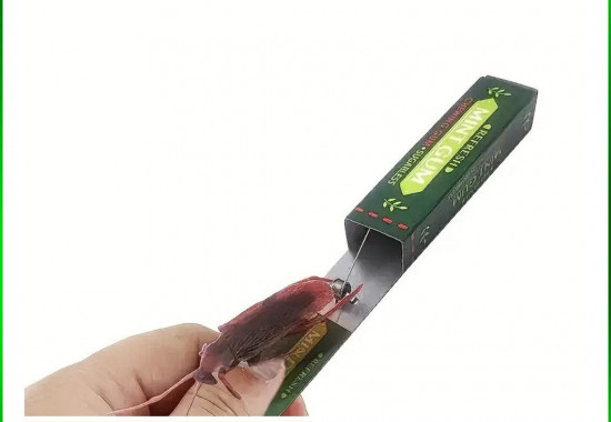 Жвачка-прикол «Насекомое»