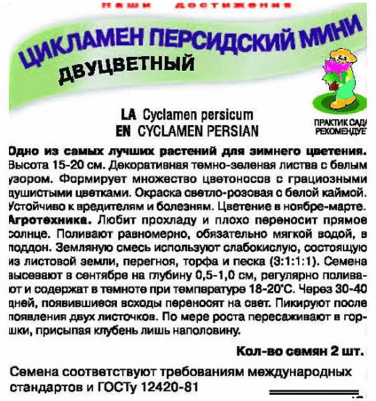 Семена цикламена персидского «Мини Двуцветный»