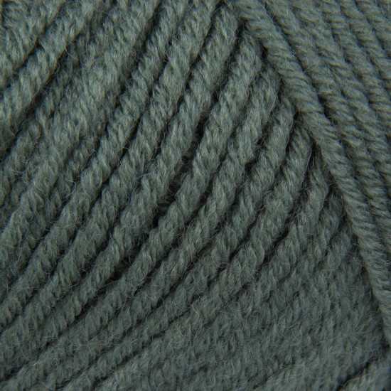 Пряжа для вязания «Lanagold», цвет 180 Серебряная сосна