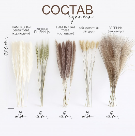 Букет из сухоцветов «Гармония»