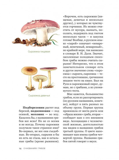 Цезарь и его мухомор. Истории из жизни грибов