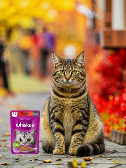 Набор паучей для кошек «Паштет с говядиной и печенью»