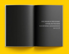 Здравствуй, мальчик Бананан! - Фото 2