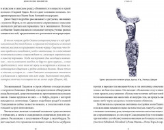 Мифология викингов. От кошек Фрейи и яблок Идунн до мировой бездны и «Сумерек богов» - Фото 8