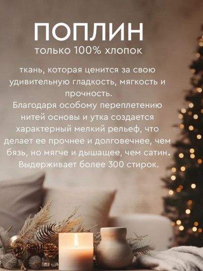 Комплект постельного белья «Морозное кружево»