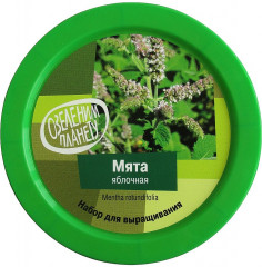 Набор для выращивания «Мята яблочная» - Фото 1